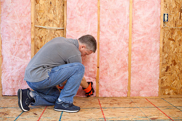 Best Insulation Inspection Services  in Medina, NY