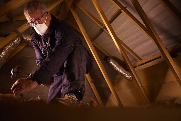 Best Wall Insulation Contractor  in Medina, NY